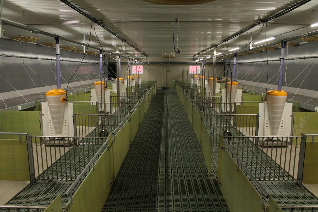 Stallsystem - Stallventilation belysning